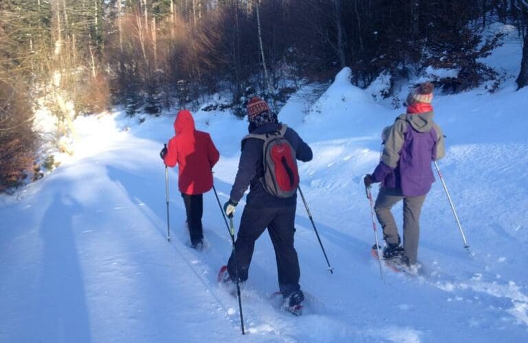 Séminaire résidentiel en chalets dans les Vosges